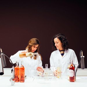 campo women winemakers tw apr 16