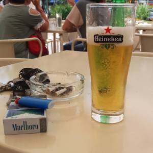 13767502_1762493284007570_1535083144_n_002