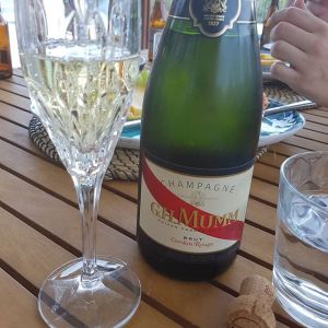 16585305_1290659421015066_4547292449931788288_n_002