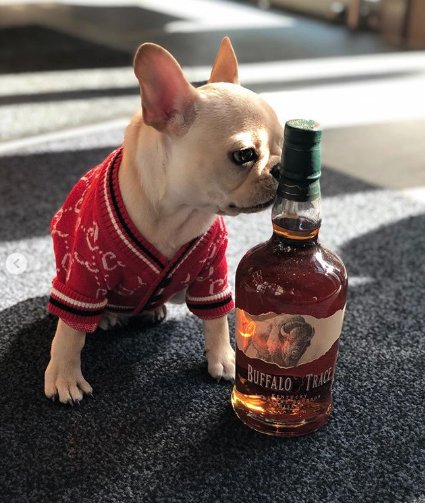 buffalo trace love at 1st