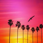 ashleysprankles's profile picture