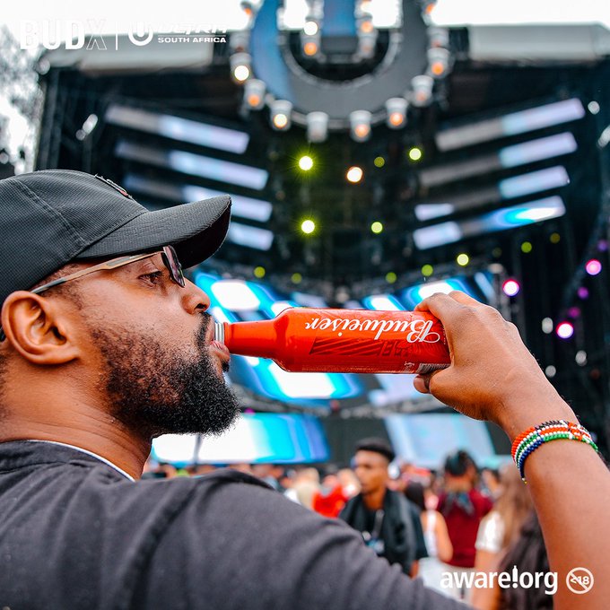 bud sa energise your night