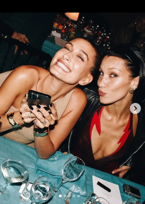 LVMH use @haileybieber @bellahadid for Belvedere 40% #alcoholad # ...